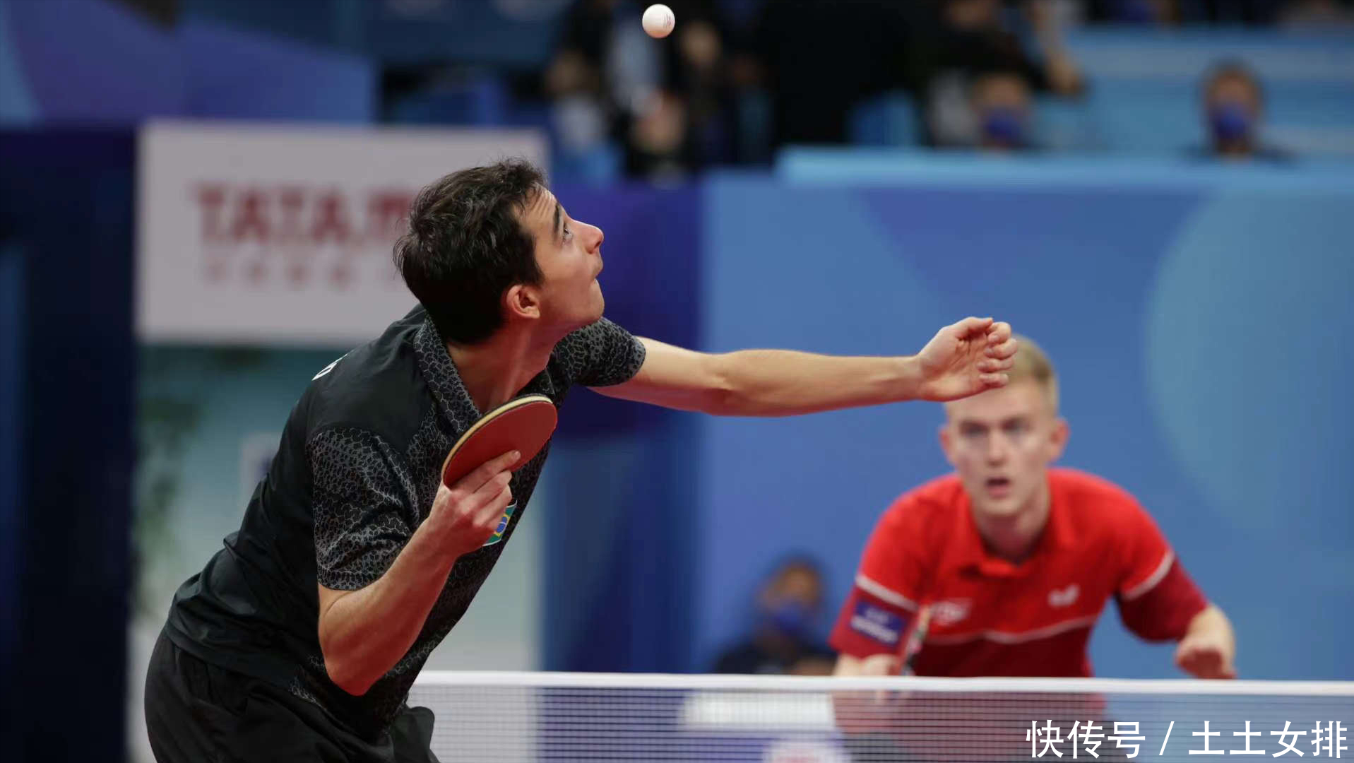 这个团队不 这个团队不