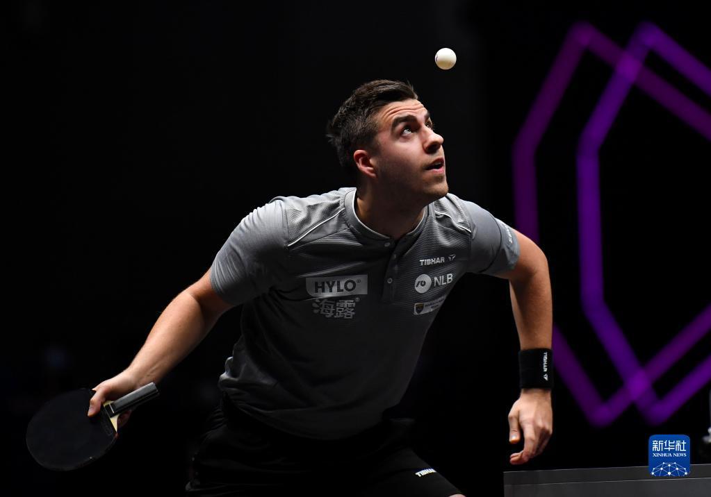 福鼎正焕发 福鼎正焕发