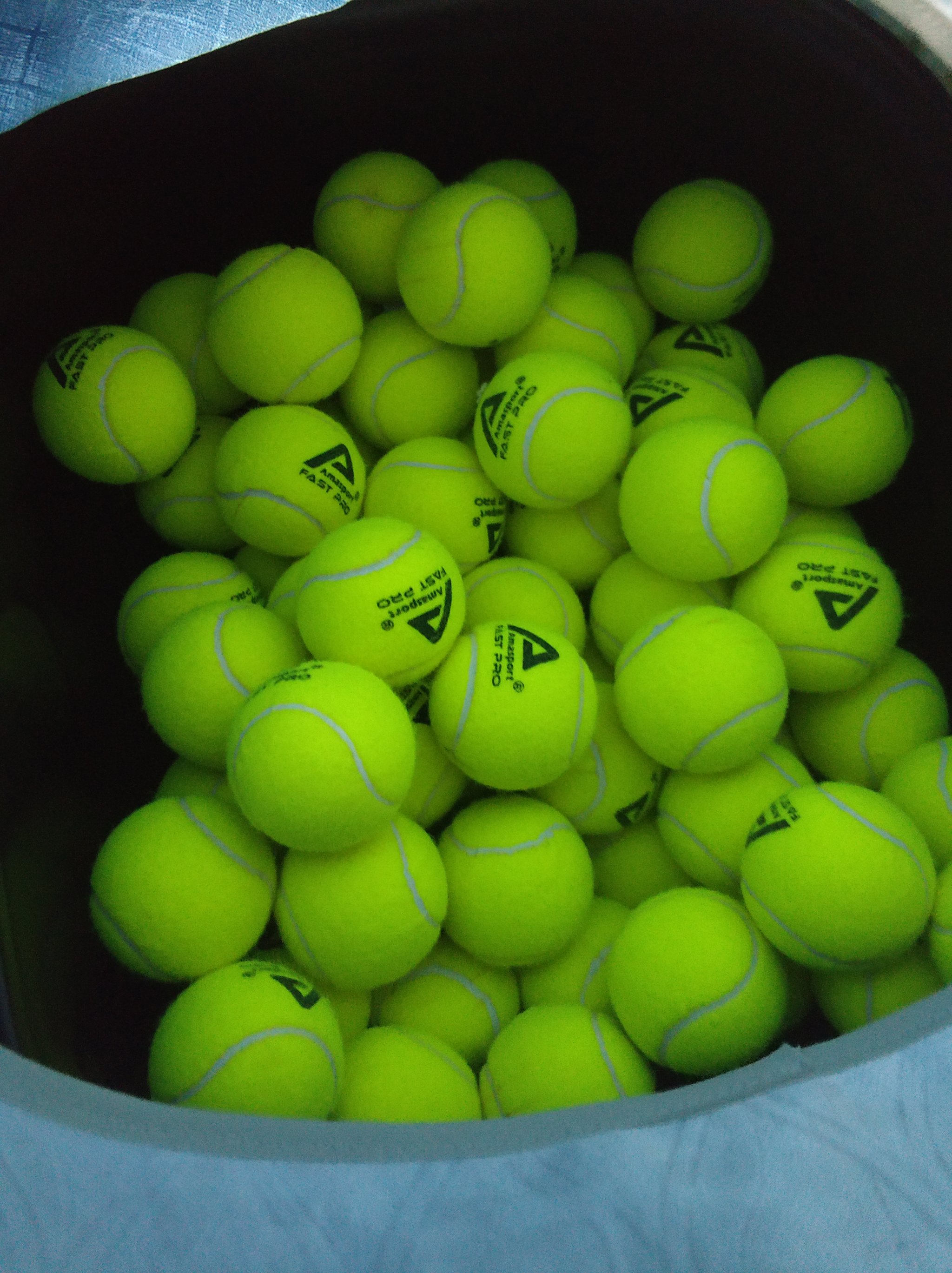 球队需要在 球队需要在