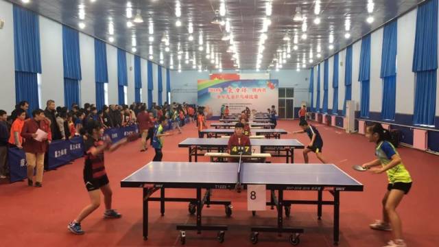 对性优化 对性优化